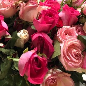 Meet your Posher, Laura